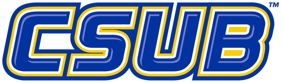 CSU Bakersfield Roadrunners 2011-2019 Wordmark Logo diy iron on heat transfer